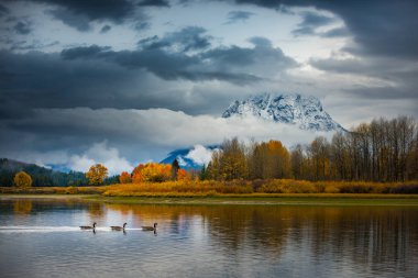 Grand Teton Milli Parkı sonbahar renkleri