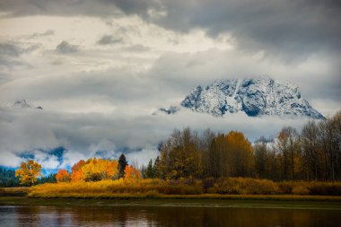 Grand Teton Milli Parkı sonbahar renkleri