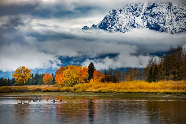 Colores de otoño del Parque Nacional Grand Teton —  Fotos de Stock