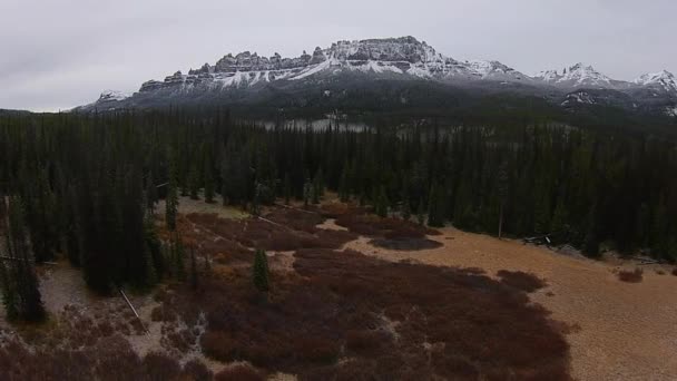 Pinnacle Buttes Togwotee antenn Wyoming landskap — Stockvideo