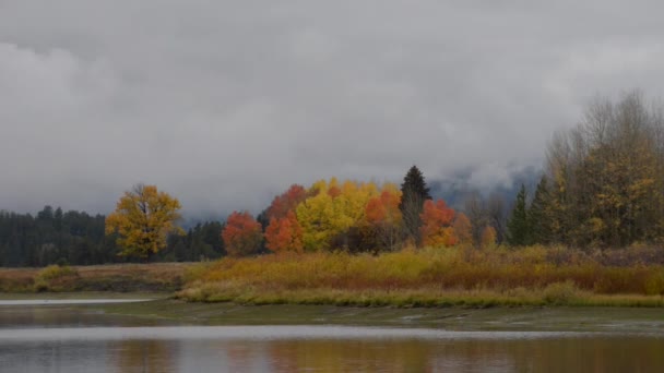 Grand Tetton Nationalpark Herbst Farben Pan links — Stockvideo