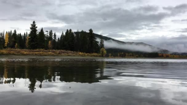 Grand Teton National Park Colores de otoño ángulo bajo — Vídeo de stock