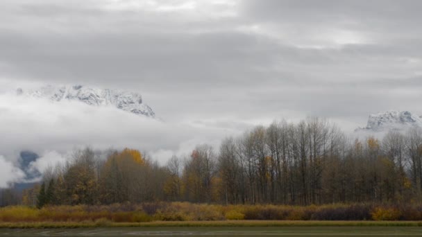 Grand Teton National Park Queda Cores pan esquerda — Vídeo de Stock