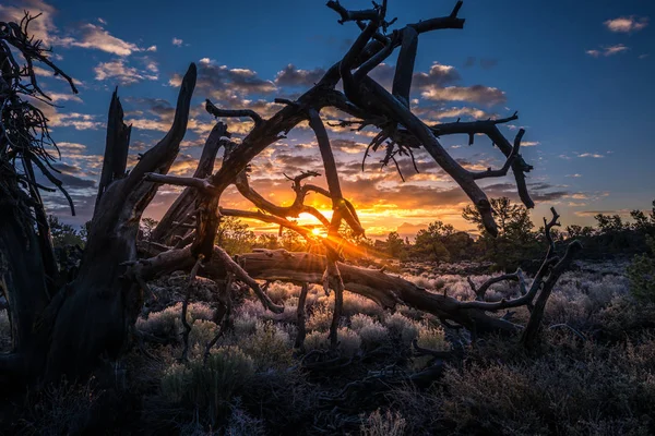 Cráteres de la Luna Huerto del Diablo al amanecer — Foto de Stock