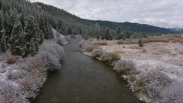 Beginning of winter Easley Creek idaho — Stock Video