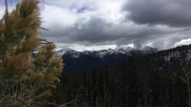 View from Galena Pass Idahoo Sawtooth Mountains — Stock Video