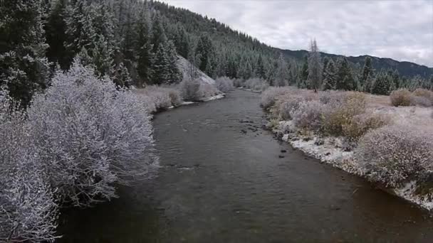 Början av vintern Easley Creek idaho — Stockvideo