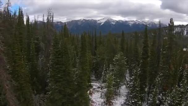 Nézd meg Galena Pass Idahoo fűrészfog hegyek — Stock videók