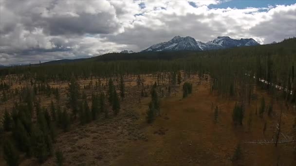 Área de Recreación Nacional Sawtooth en el Condado de Custer — Vídeo de stock