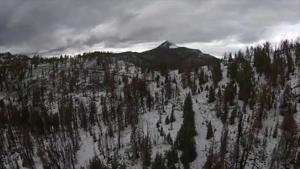 Fresa de montaña desierto Oregon antena — Vídeo de stock