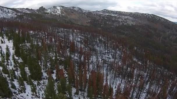 Strawberry Mountain Wilderness Oregon Aerial — Stock Video