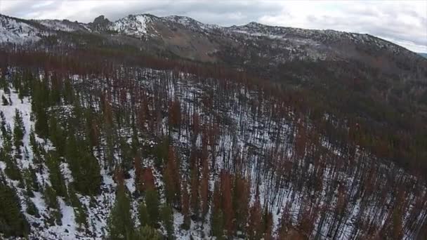 Truskawka górskie bezdroża Oregon anteny — Wideo stockowe