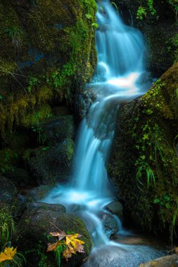 Watson Creek Oregon sonbahar renkleri 
