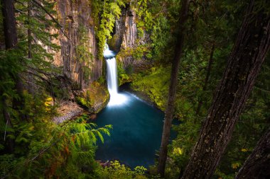 Toketee Falls Douglas İlçesi Oregon