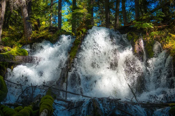 Klares Wasser fällt umpqua Nationalwald — Stockfoto