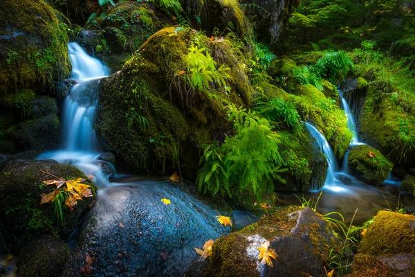 Waterfall Background Oregon Fall Colors — Stock Photo, Image