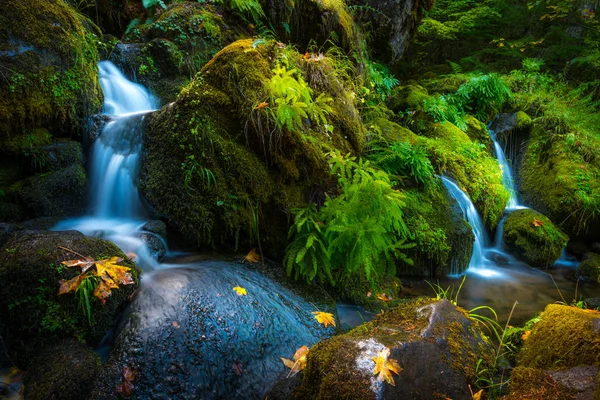 Wasserfall Hintergrund oregon Herbst Farben — Stockfoto