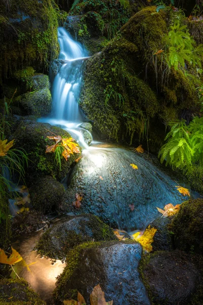 Waterfall Background Oregon Fall Colors — Stock Photo, Image