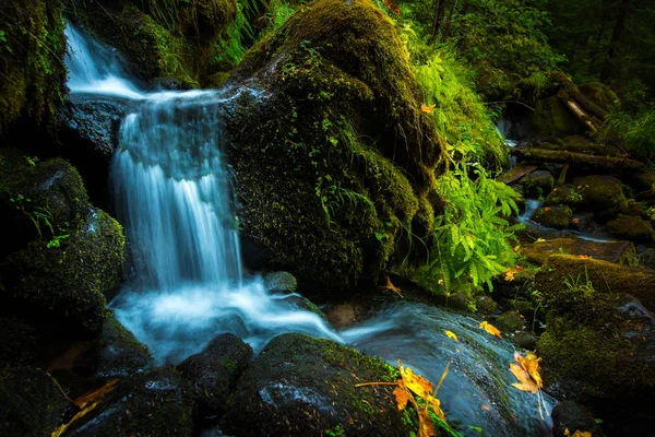 Wasserfall Hintergrund oregon Herbst Farben — Stockfoto