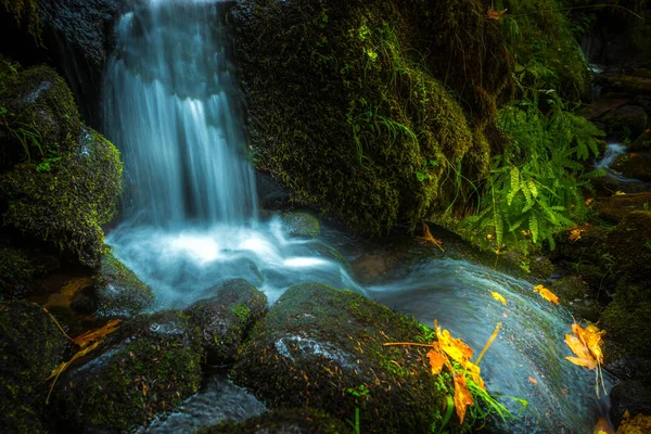 Wasserfall Hintergrund oregon Herbst Farben — Stockfoto