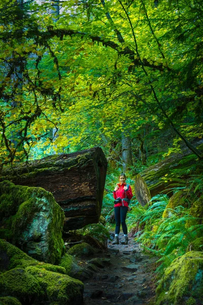 Szlak do Watson Falls w stanie Oregon — Zdjęcie stockowe