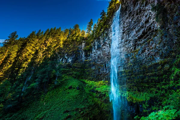 Watson Falls Oregon — Stok fotoğraf