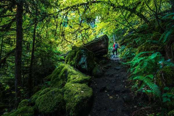 Szlak do Watson Falls w stanie Oregon — Zdjęcie stockowe