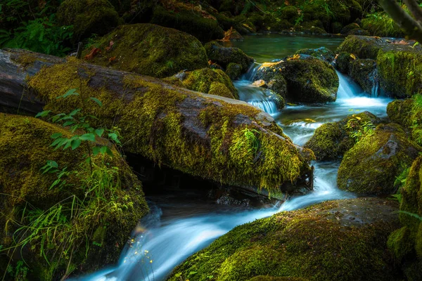 Bela água em cascata de Watson Creek Oregon — Fotografia de Stock