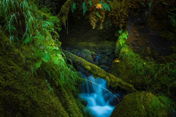 Oregon kaskaden watson creek oregon — Stockfoto