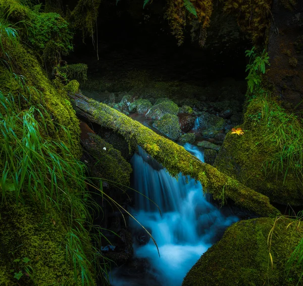 Cascatas de Oregon Watson Creek Oregon — Fotografia de Stock