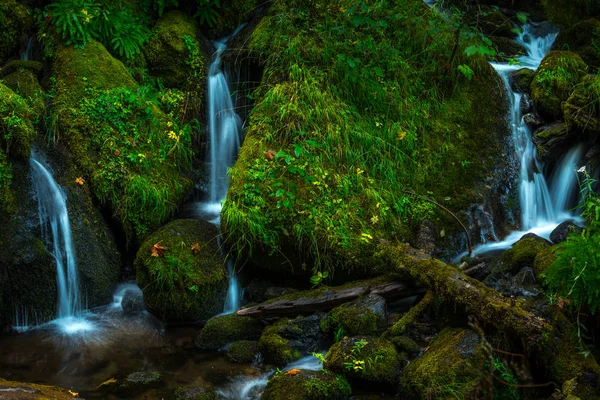 Cascatas de Oregon Watson Creek Oregon — Fotografia de Stock