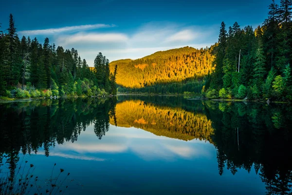 Sunset Reflection Toketee Lake Umpqua River Oregon — Stock Photo, Image