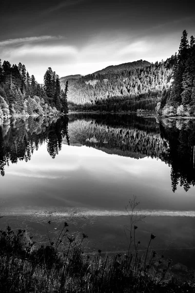 Sunset Reflection Toketee Lago Umpqua Río Oregon —  Fotos de Stock