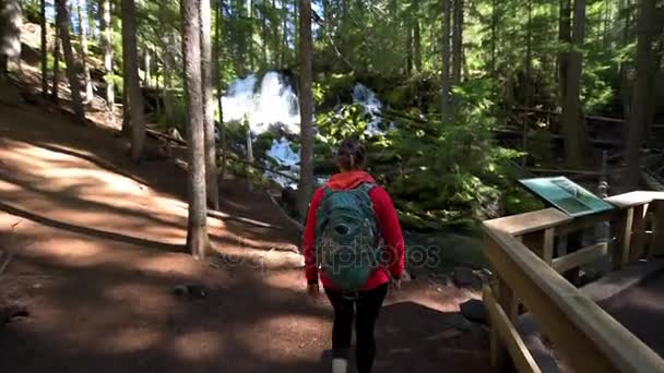 Caminhante olhando para Clearwater Falls Oregon — Vídeo de Stock