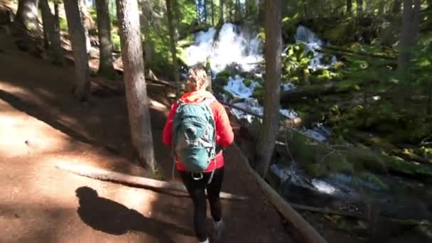 Turysta patrząc Clearwater Falls w stanie Oregon — Wideo stockowe