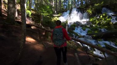 Clearwater Falls Oregon bakıyor uzun yürüyüşe çıkan kimse