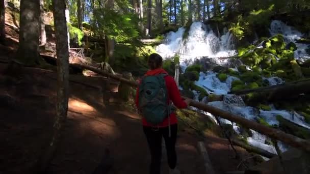 Caminhante olhando para Clearwater Falls Oregon — Vídeo de Stock