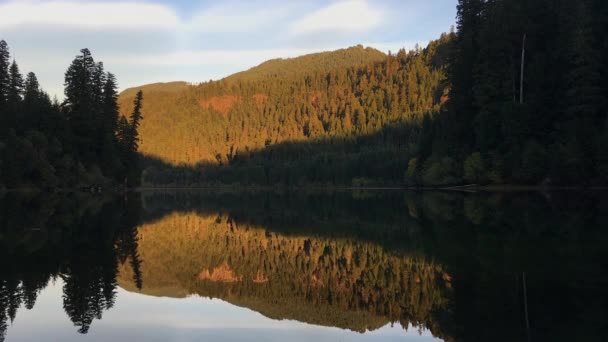 Toketee lake reflectie Oregon — Stockvideo