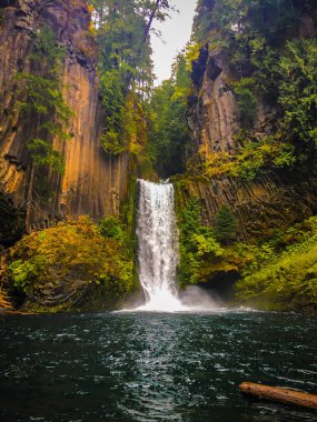 Toketee Falls Douglas County Oregon clipart