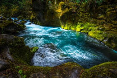 Mavi akım ve Fern Kanyon yukarıda Toketee düşüyor Douglas kaplı 