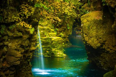 Blue stream and Fern covered Canyon Above Toketee Falls Douglas  clipart