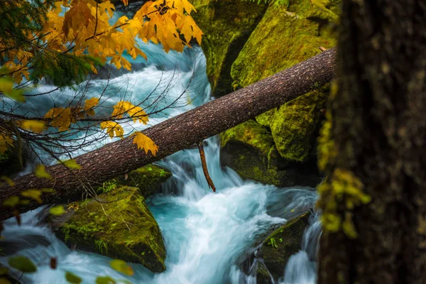 Őszi színek Oregon táj Toketee Falls Douglas County öreg — Stock Fotó