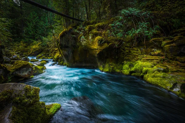 Arroyo azul y helecho cubierto Cañón por encima de Toketee Falls Douglas — Foto de Stock