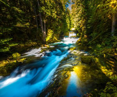 Sahalie Falls Oregon Mckensie nehirden aşağı