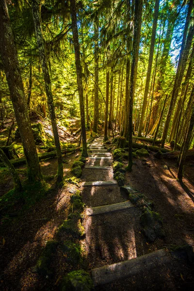 Sahalie Falls Trail Wooden steps leading down to McKenzie river — Stock Photo, Image