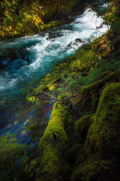 McKensie River down from Sahalie Falls Oregon — Stock Photo, Image