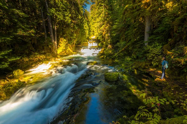 Tourist Backpacker looking at McKenzie River down from Sahalie F — Stock Photo, Image