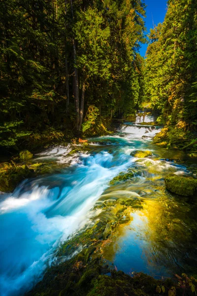 McKensie River down from Sahalie Falls Oregon — Stock Photo, Image