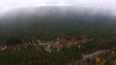 Kalın sabah dağ sis Oregon manzara üzerinde hava 