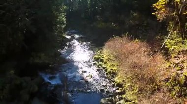 Tamolitch mavi havuzu Oregon